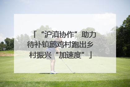 “沪滇协作”助力待补镇鹧鸡村跑出乡村振兴“加速度”